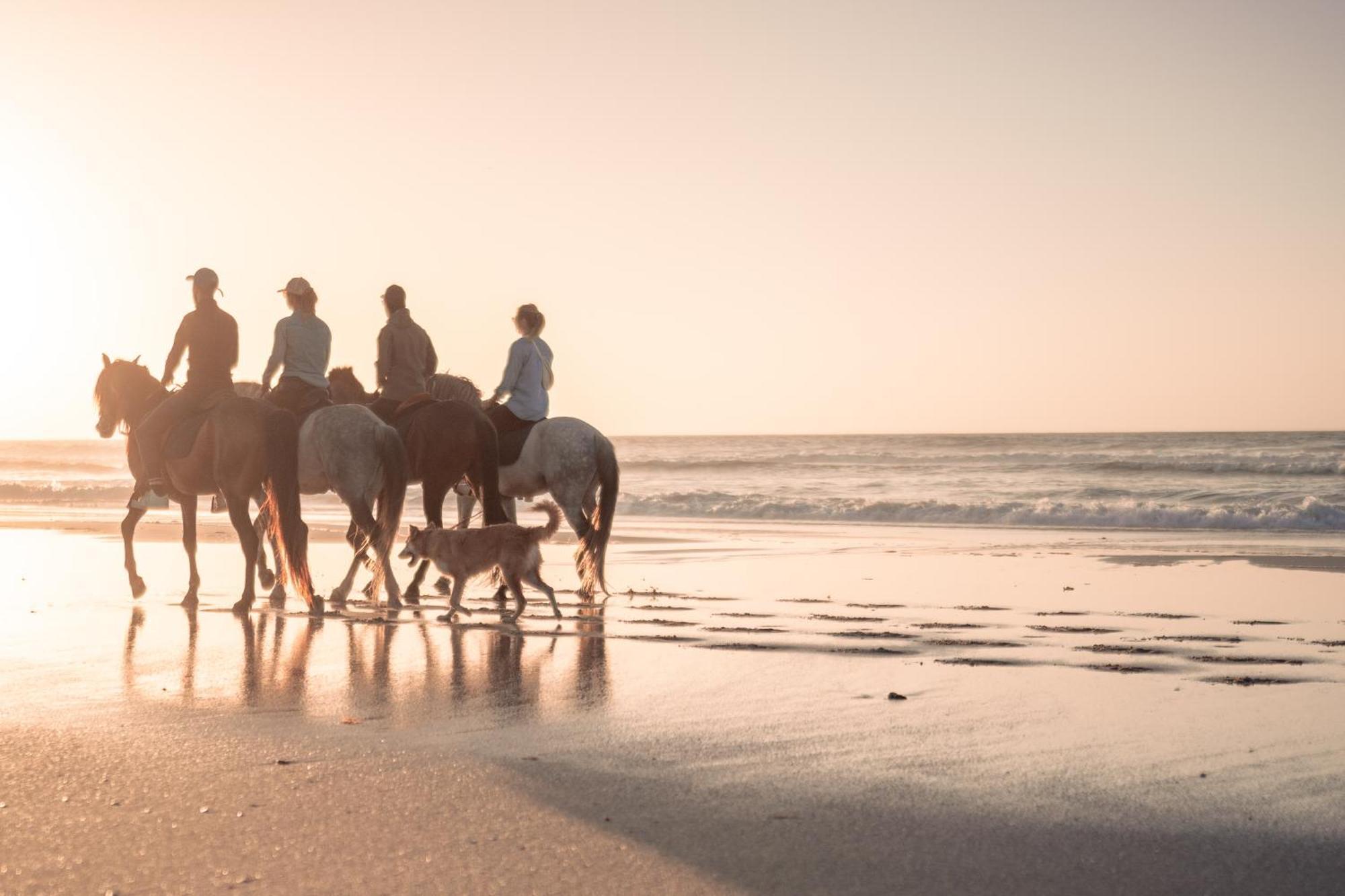La Crique Nature & Spa Dakhla Eksteriør billede